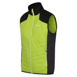 Regatta Halton VI Gilet Chauffant Léger Pour Homme