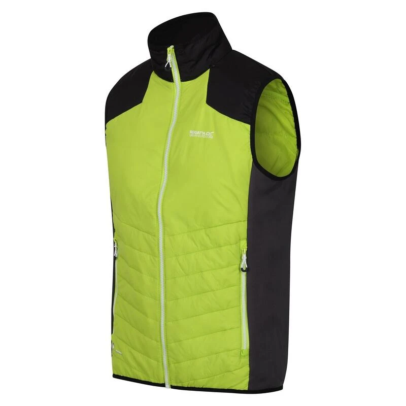 Regatta Halton VI Gilet Chauffant Léger Pour Homme 3 Regatta Halton VI Gilet Chauffant Léger Pour Homme