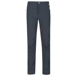 Regatta Pantalon De Randonnée GEO Homme (Gris)