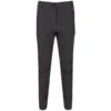 Regatta Pantalon De Randonnée HIGHTON Homme (Gris) -Regatta Soldes Boutique pantalon de randonnee highton homme gris