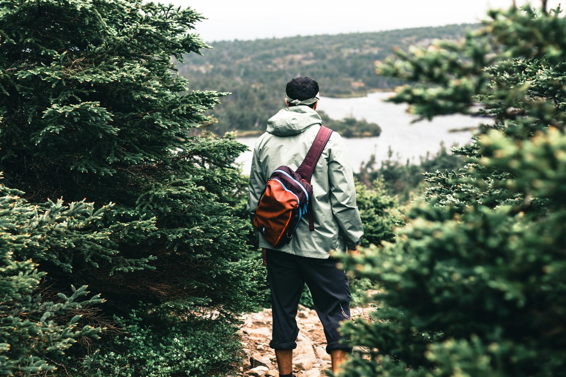 Regatta Soldes Boutique -Regatta Soldes Boutique pexels lureofadventure 12705901