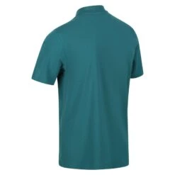 Regatta Polo Manches Courtes SINTON Homme (Turquoise Foncé) 8 Regatta Polo Manches Courtes SINTON Homme (Turquoise Foncé) -Regatta Soldes Boutique polo manches courtes sinton homme turquoise fonce 2